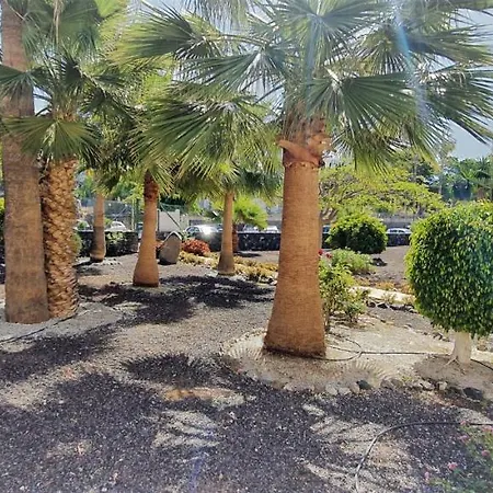 Apartamento La Finca Tenerife Lejlighed Chayofa